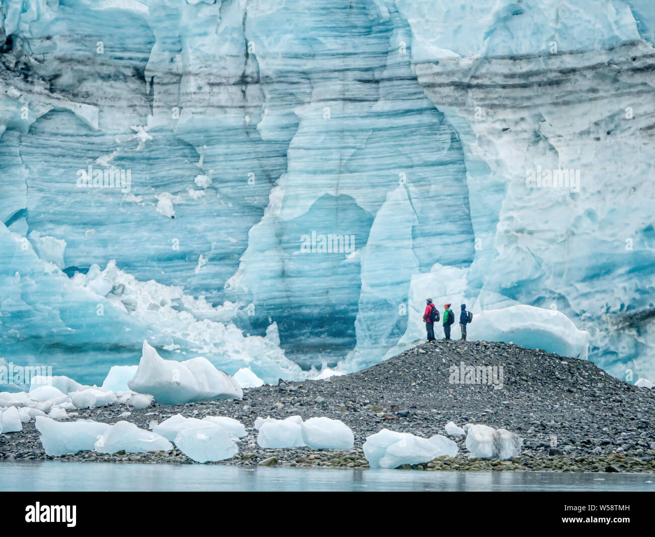 Wanderer vor lamplugh Gletscher, Glacier Bay National Park, Alaska, USA. Stockfoto