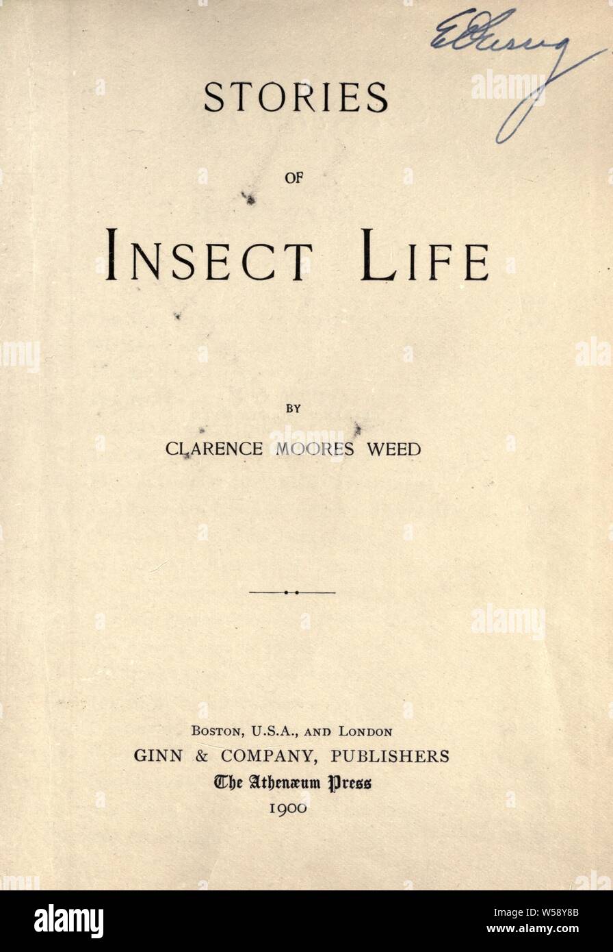 Geschichten von Insekten: Unkraut, Clarence Moores, 1864-1947 Stockfoto