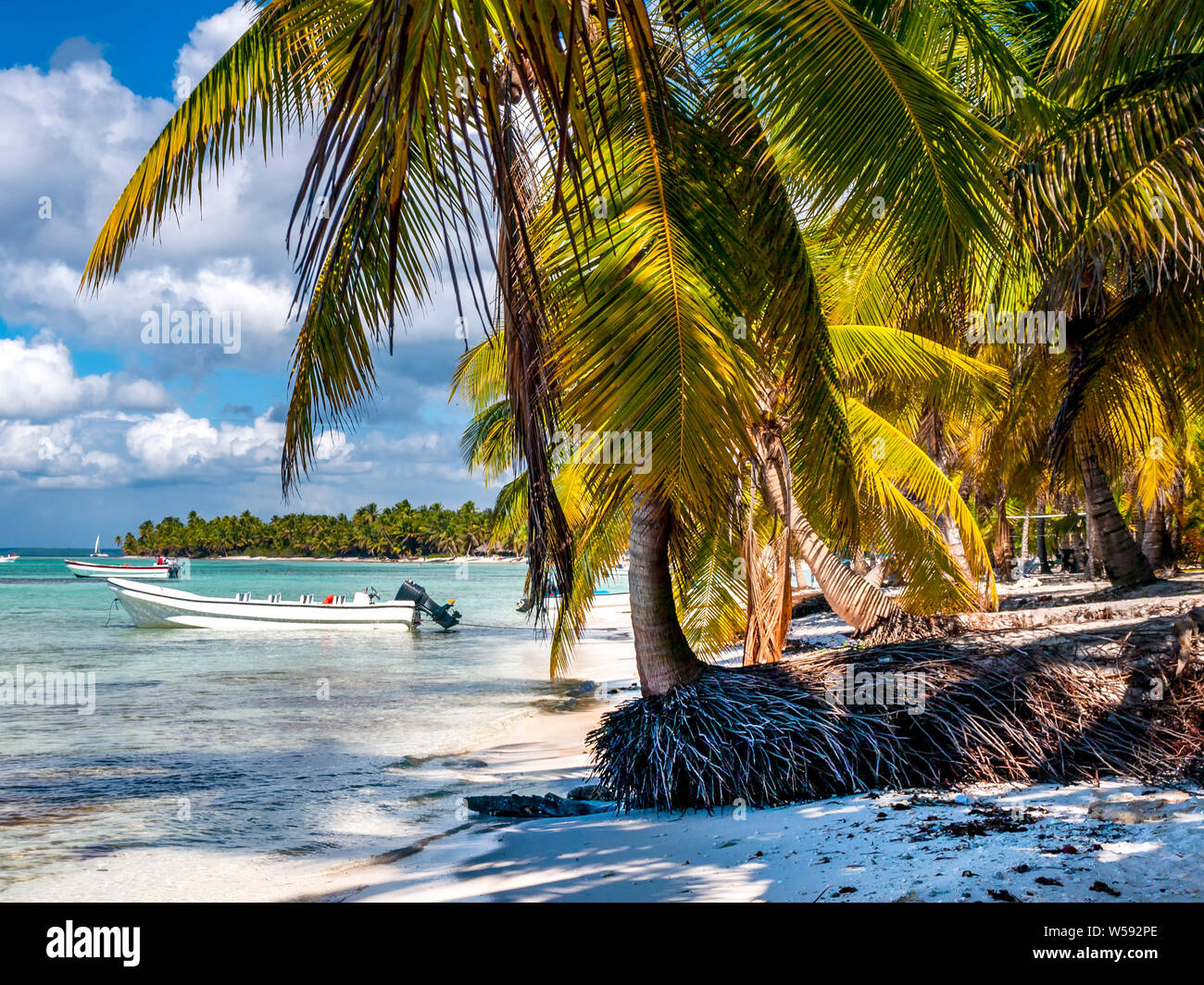 Eine erholsame und idyllische malerischen karibischen Sandstrand mit azurblauem Meer und wehenden Palmen. Stockfoto