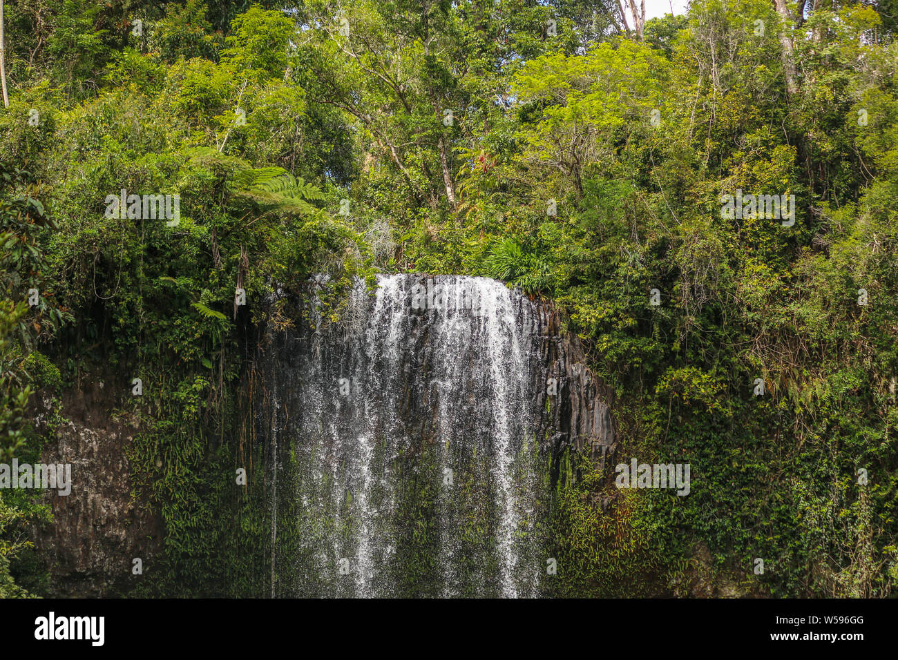 Wasserfall und Bush in Kuranda National Park, Queensland, Australien Stockfoto