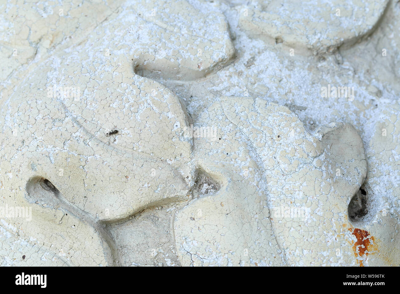 Makro Betonblätter Hintergrund Stockfoto