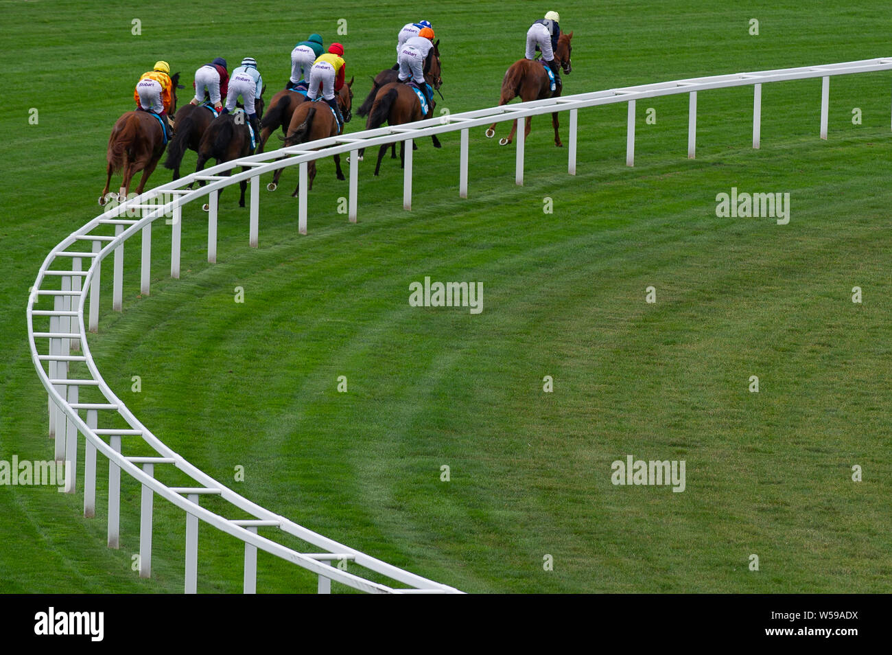 Ascot Racecourse, Ascot, Großbritannien. 26. Juli, 2019. Jockeys Fahrt um die ersten in ihrer zwei Meile Rennen biegen. Credit: Maureen McLean/Alamy Stockfoto