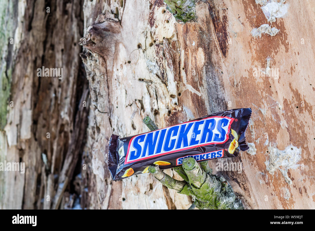 Snickers Schokoriegel von Mars Incorporated Stockfoto