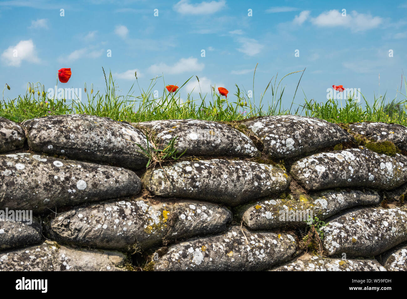 Diksmuide, Flandern, Belgien - Juni 19, 2019: Historische WW1 Gräben, genannt Dodengang entlang IJzer Fluss, zeigt grau-braunem Stein-hart, Sandsäcke, grün Stockfoto