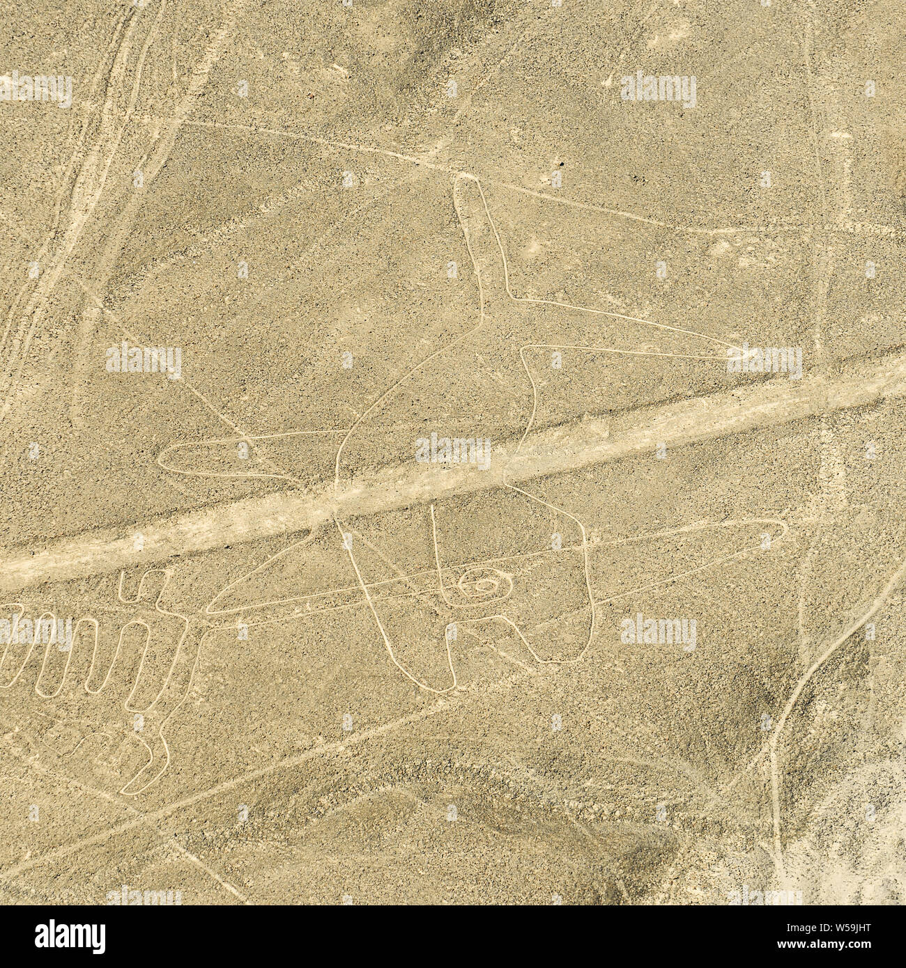 Der Wal geoglyph von den Nazca Linien Archäologie Website in der peruanischen Wüste, Nazca, Peru. Stockfoto