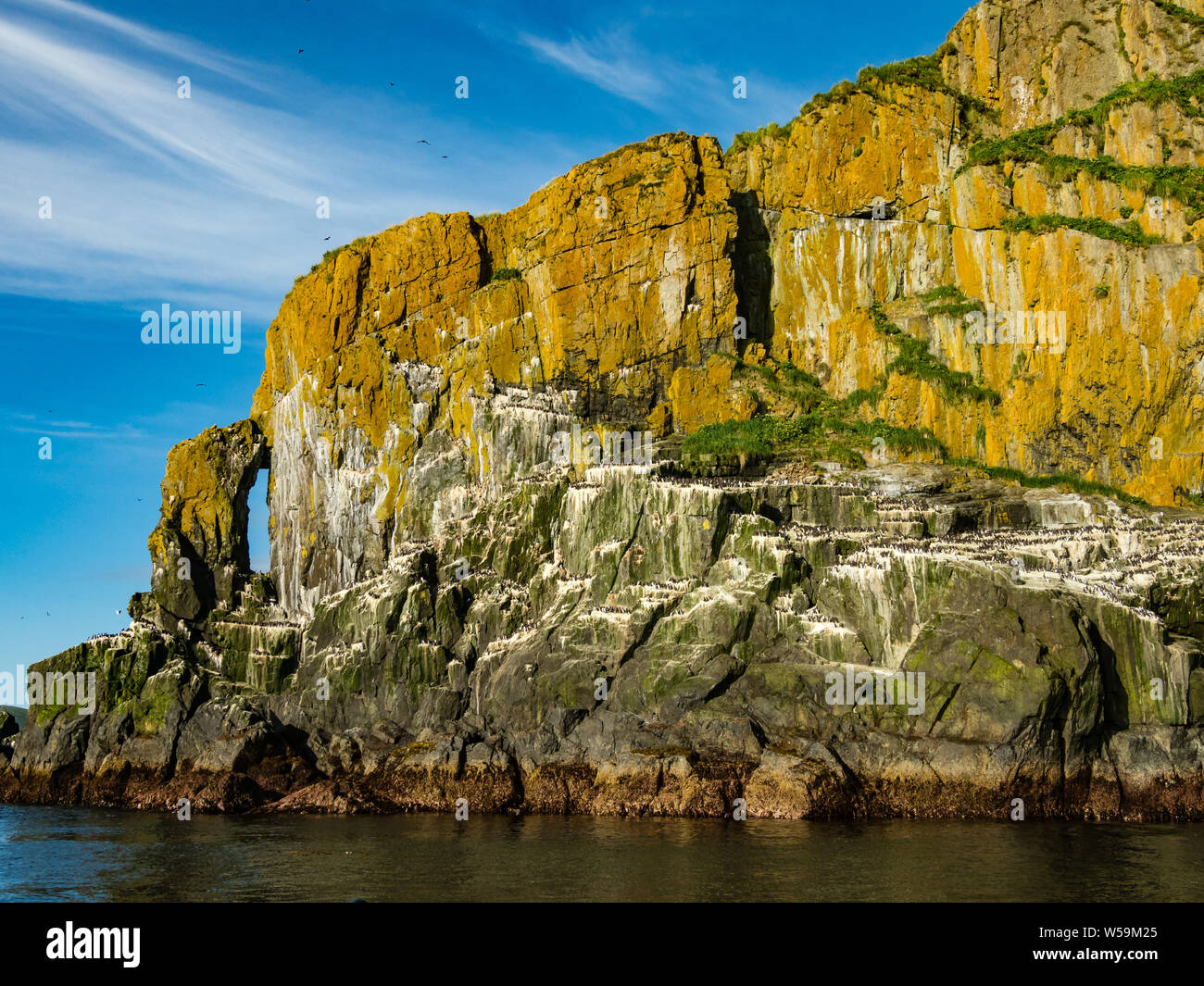 Die atemberaubende Seevögel nisten Klippen von Aghik Insel der Semidi Island Wilderness Reserve aus der Alaska Halbinsel Stockfoto