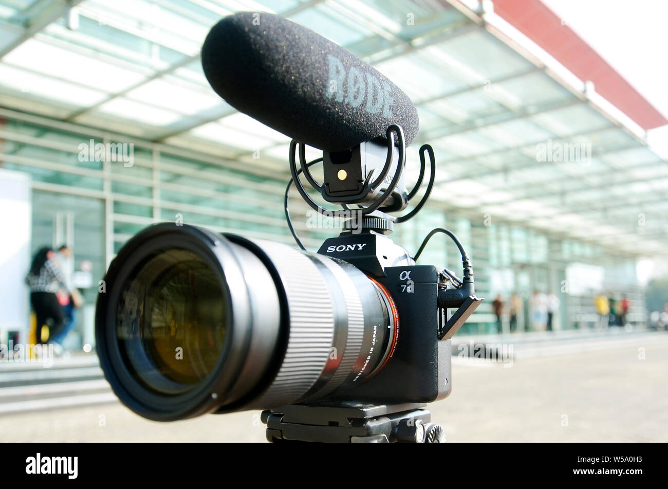 Aufnahmen mit der Kamera Mirorless Sony a7 II, mittlerer Bereich Tamron  Objektiv weiss 70mm, mit externen Mikrofon Rode für Aufnahme  Stockfotografie - Alamy