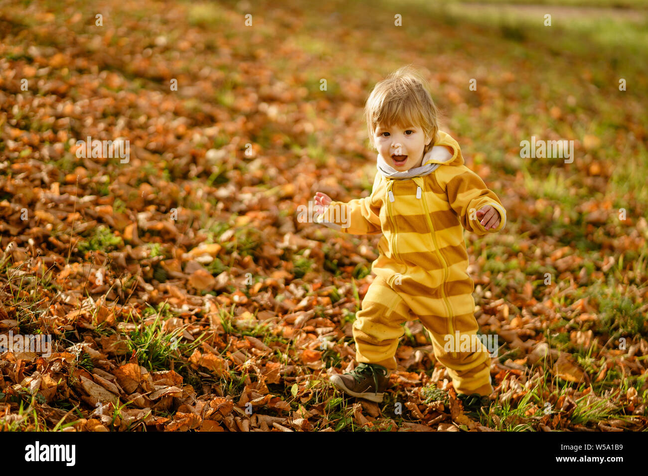 Konzept: Familie, Kinder. Glückliches Kind, baby boy Lachen und Spielen im Herbst auf der Wanderung in der Natur draußen im Park Stockfoto