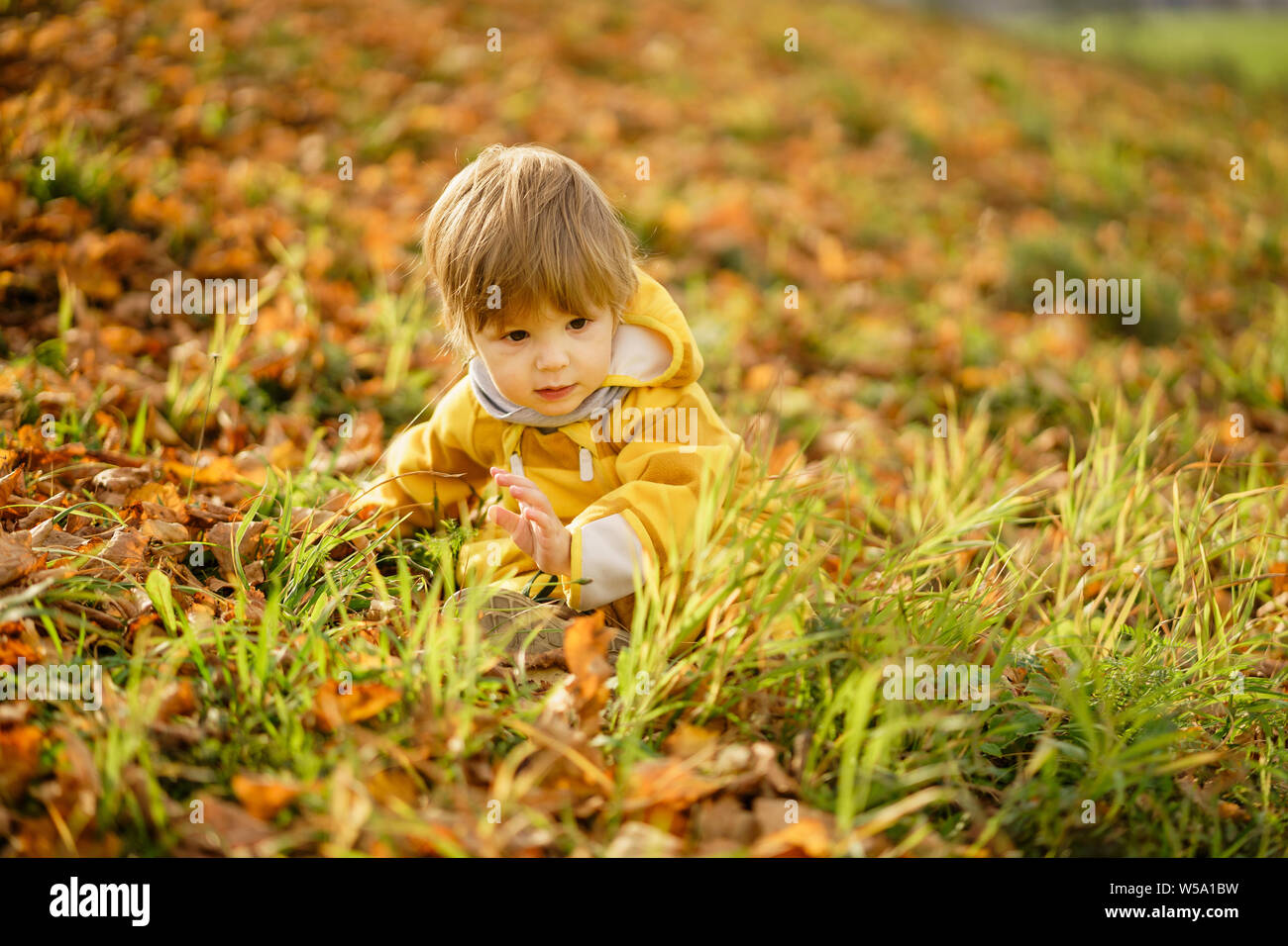 Konzept: Familie, Kinder. Glückliches Kind, baby boy Lachen und Spielen im Herbst auf der Wanderung in der Natur draußen im Park Stockfoto