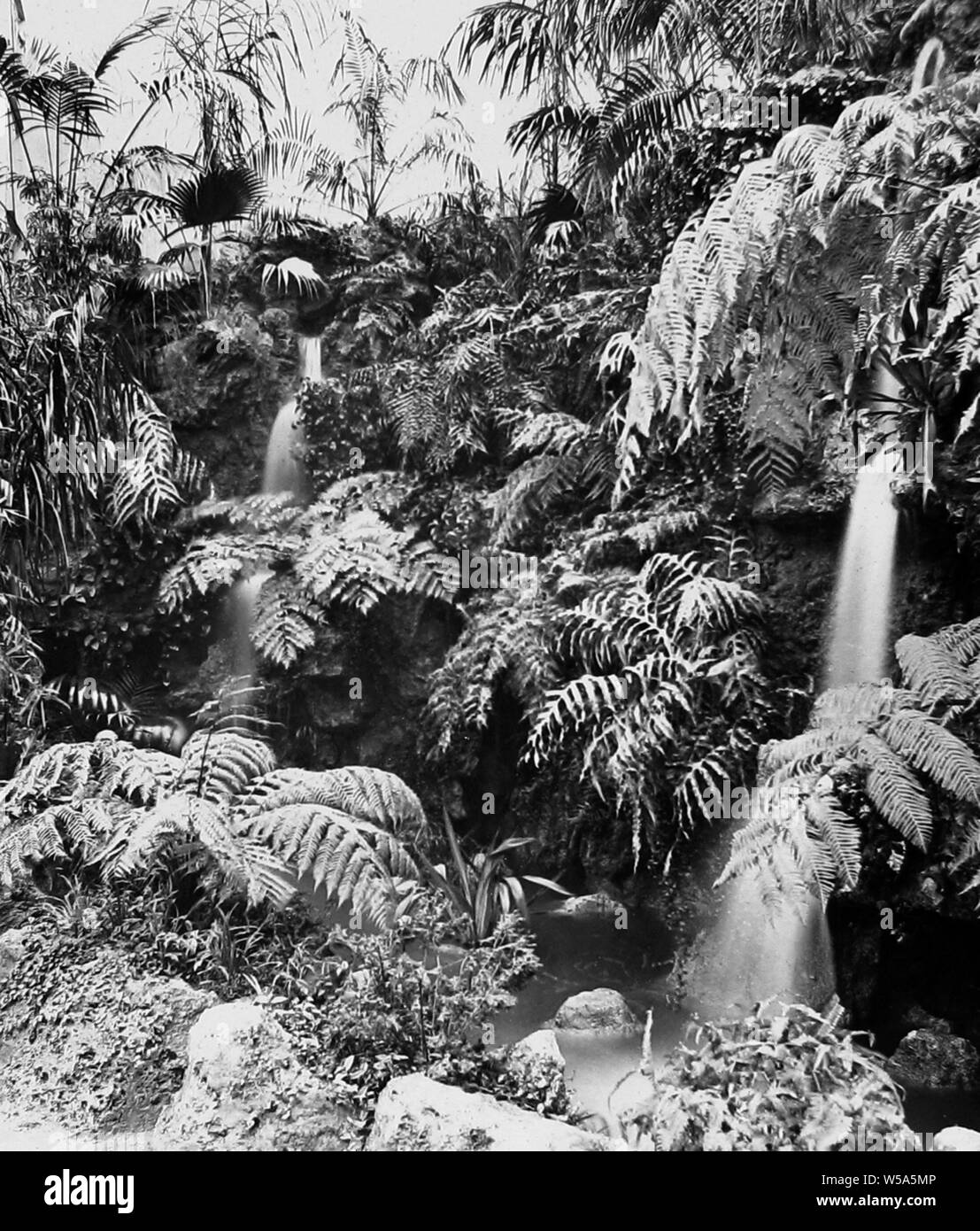 Australischen Wasserfall, Franco Britischen Weißen Stadt Ausstellung in London im Jahr 1908 Stockfoto