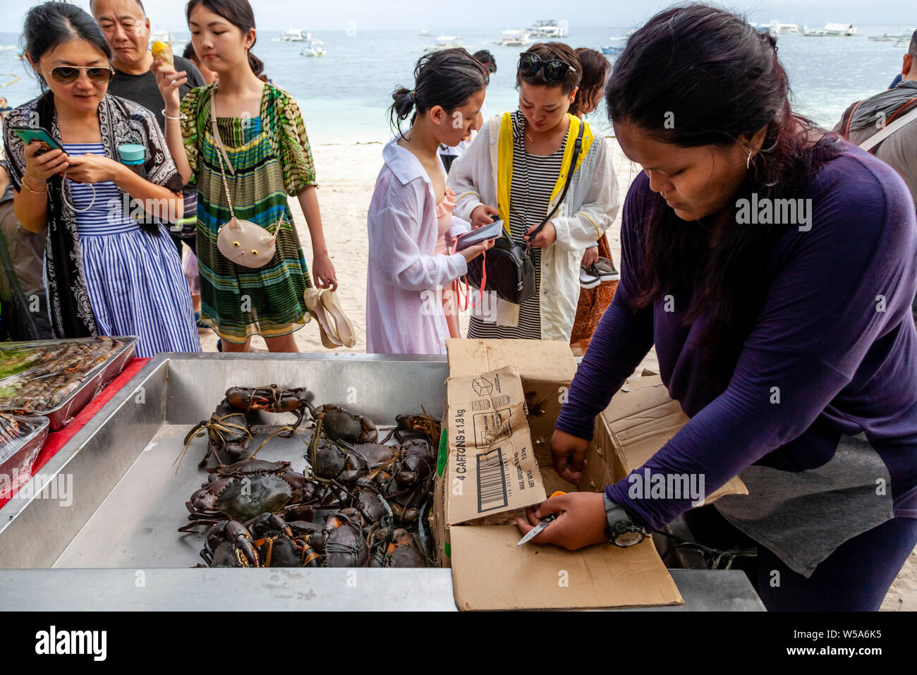 Ein Restaurant Arbeiter Auspacken Live Krabben für die Meeresfrüchte, Display, Alona Beach, Bohol, Philippinen Stockfoto