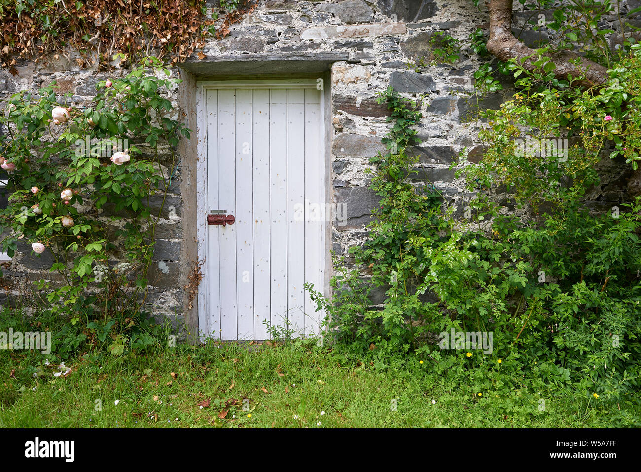 Weiße Tür in ummauerten Garten, Colonsay Haus und Garten, von der Insel Colonsay, Argyll, Schottland Stockfoto