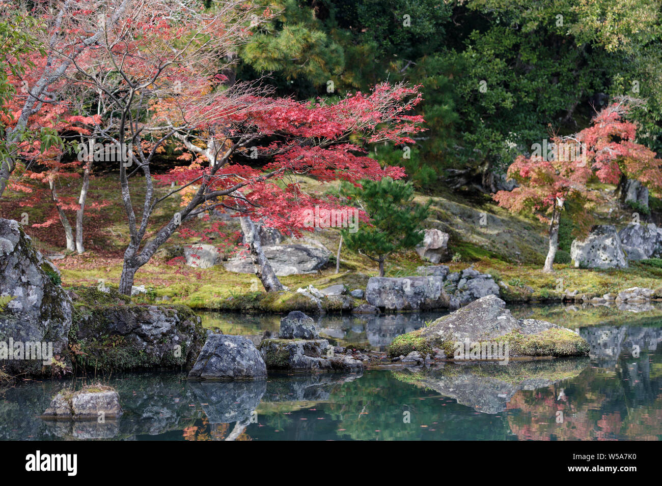 Herbstfarben im Tenryu-ji Tempel, Kyoto, Japan. Stockfoto