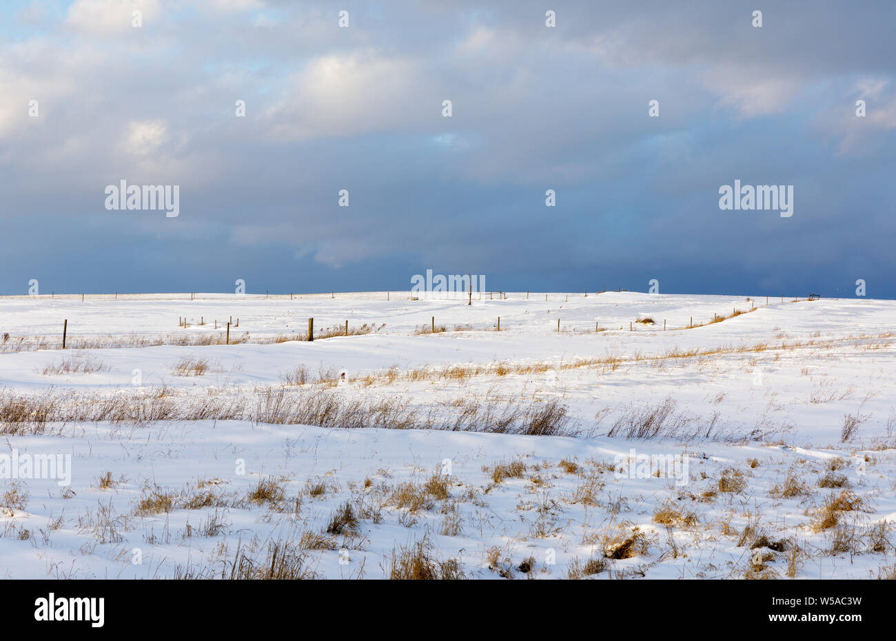 Schnee Szene in Montgomery County, New York, Mohawk Valley Stockfoto