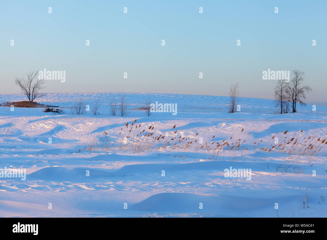 Schnee Landschaft in farm country von Mohawk Valley, New York State, USA geblasen. Stockfoto