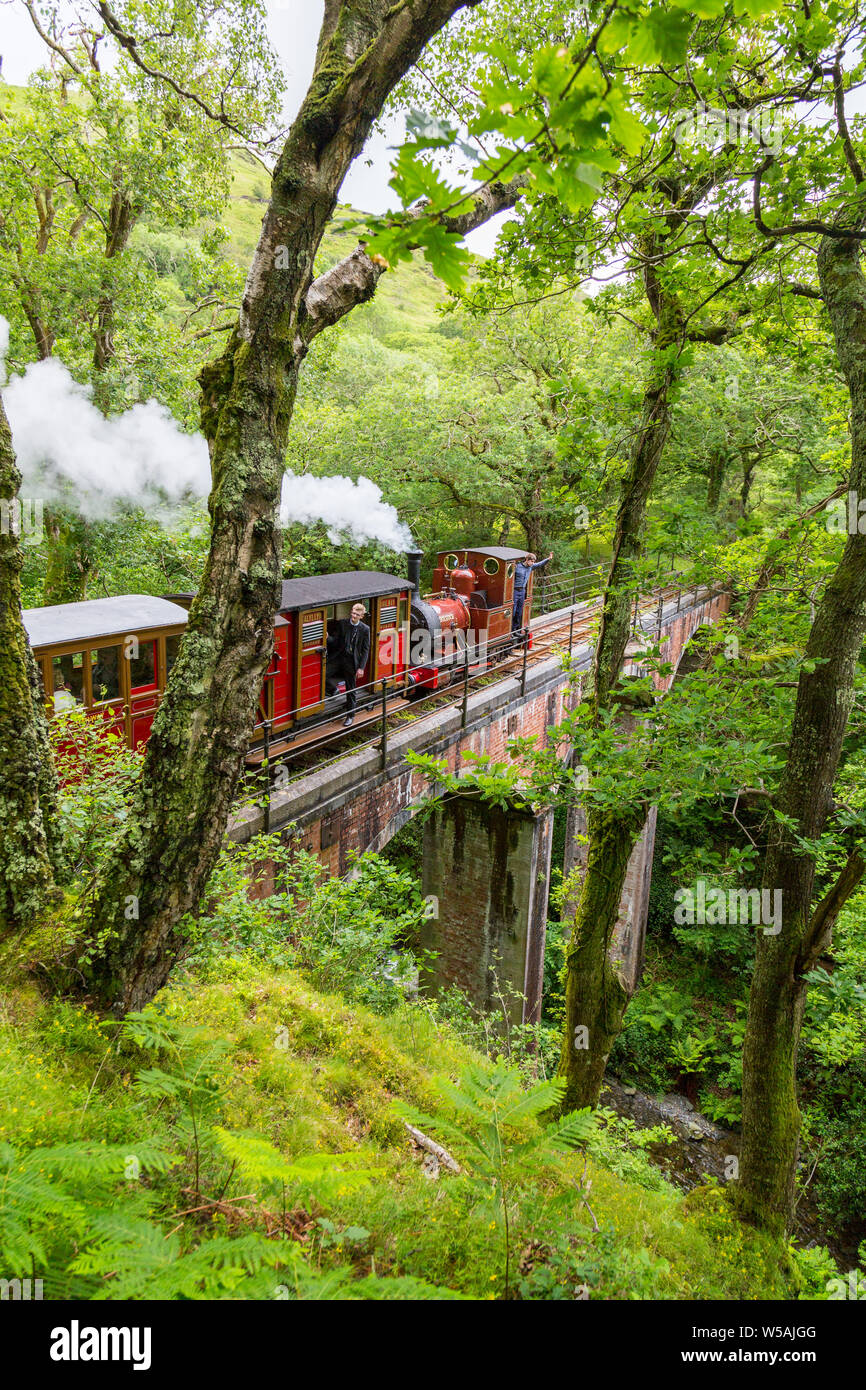 Die 1866 0-4-0 T Dampflok "olgoch "crossing Dolgoch Viadukt über die talyllyn - die weltweit erste erhaltene Museumsbahn, Gwynedd, Wales, Großbritannien Stockfoto