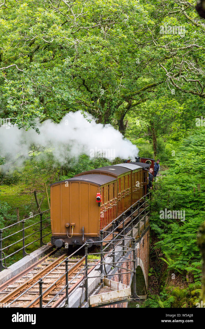 Die 1866 0-4-0 T Dampflok "olgoch "crossing Dolgoch Viadukt über die talyllyn - die weltweit erste erhaltene Museumsbahn, Gwynedd, Wales, Großbritannien Stockfoto