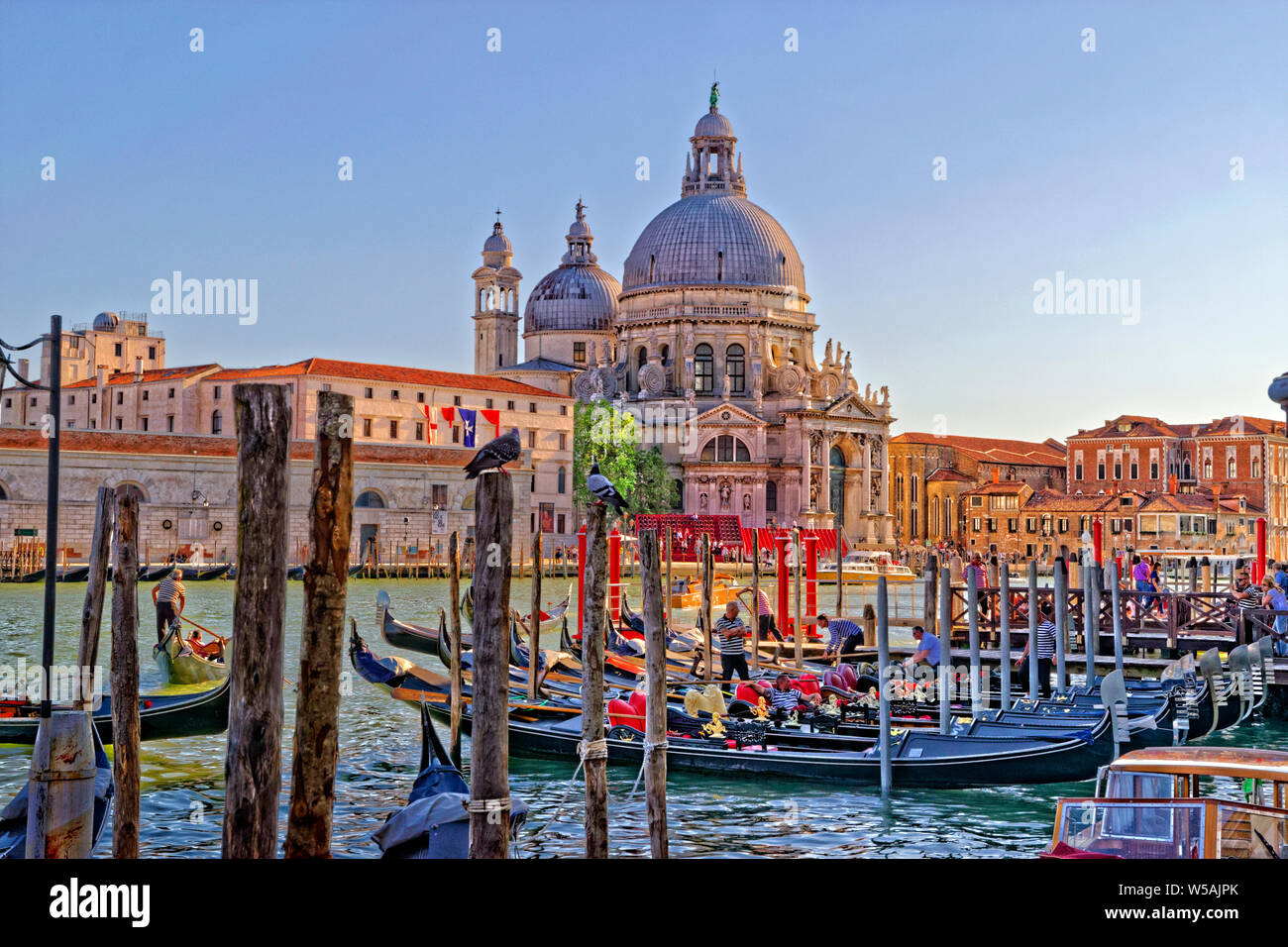 Der Canal Grande, Venedig, Italien. Stockfoto