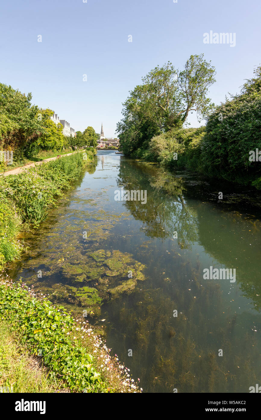 Chichester Ship Canal, Chichester, West Sussex, UK. Stockfoto