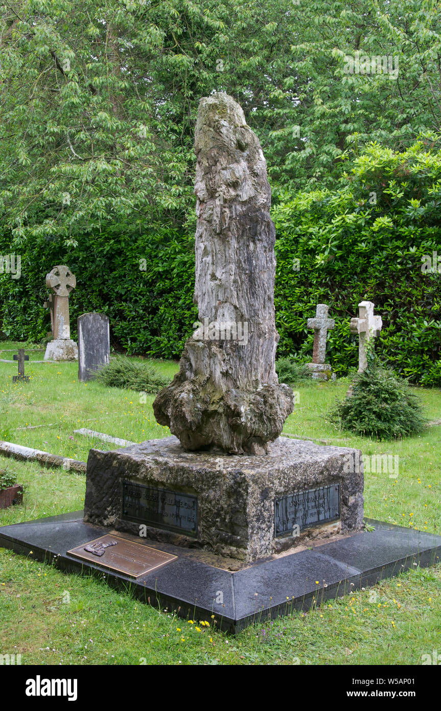 Das Grab von Alfred Russell Wallace in Broadstone Friedhof. Der Grabstein ist aus der versteinerte Stamm eines prähistorischen Baum gemacht. Poole, Dorset, Großbritannien. Stockfoto