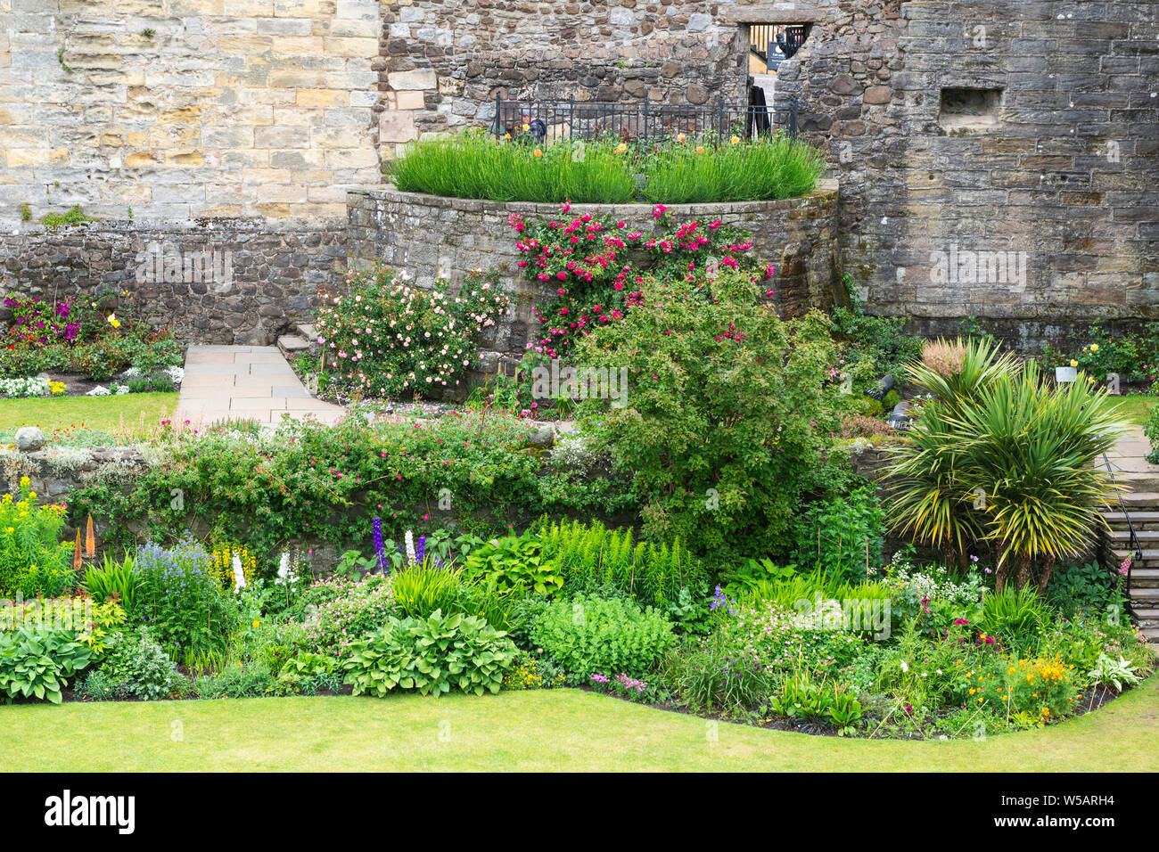 Terrassenförmig angelegte Blumenrabatten im Queen Anne Gärten - Schloss Stirling, Schottland, Großbritannien Stockfoto