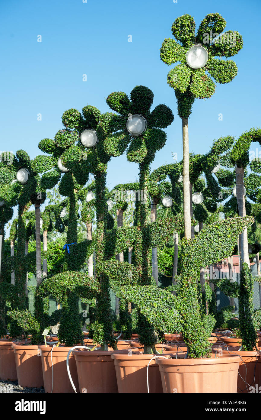 Grüne Skulptur von Blumenförmigen Strassenlaterne in einem Garten. Formgehölze Technik. Stockfoto