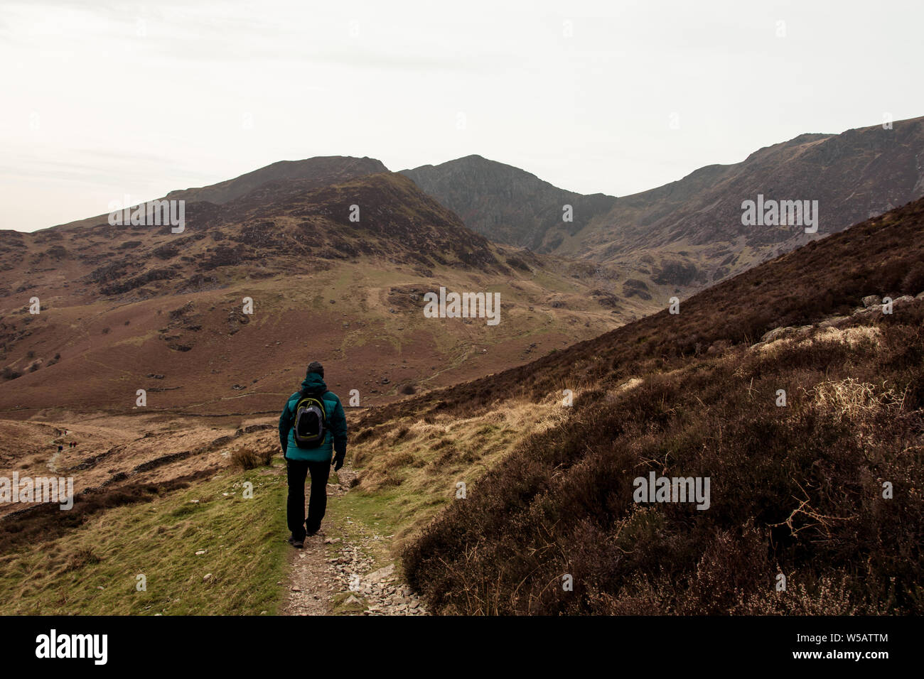 Blick auf und um Cadair Idris, Cader Idris oder Penygader Berg in Gwynedd, Wales, der am südlichen Ende des Snowdonia National Park liegt Stockfoto