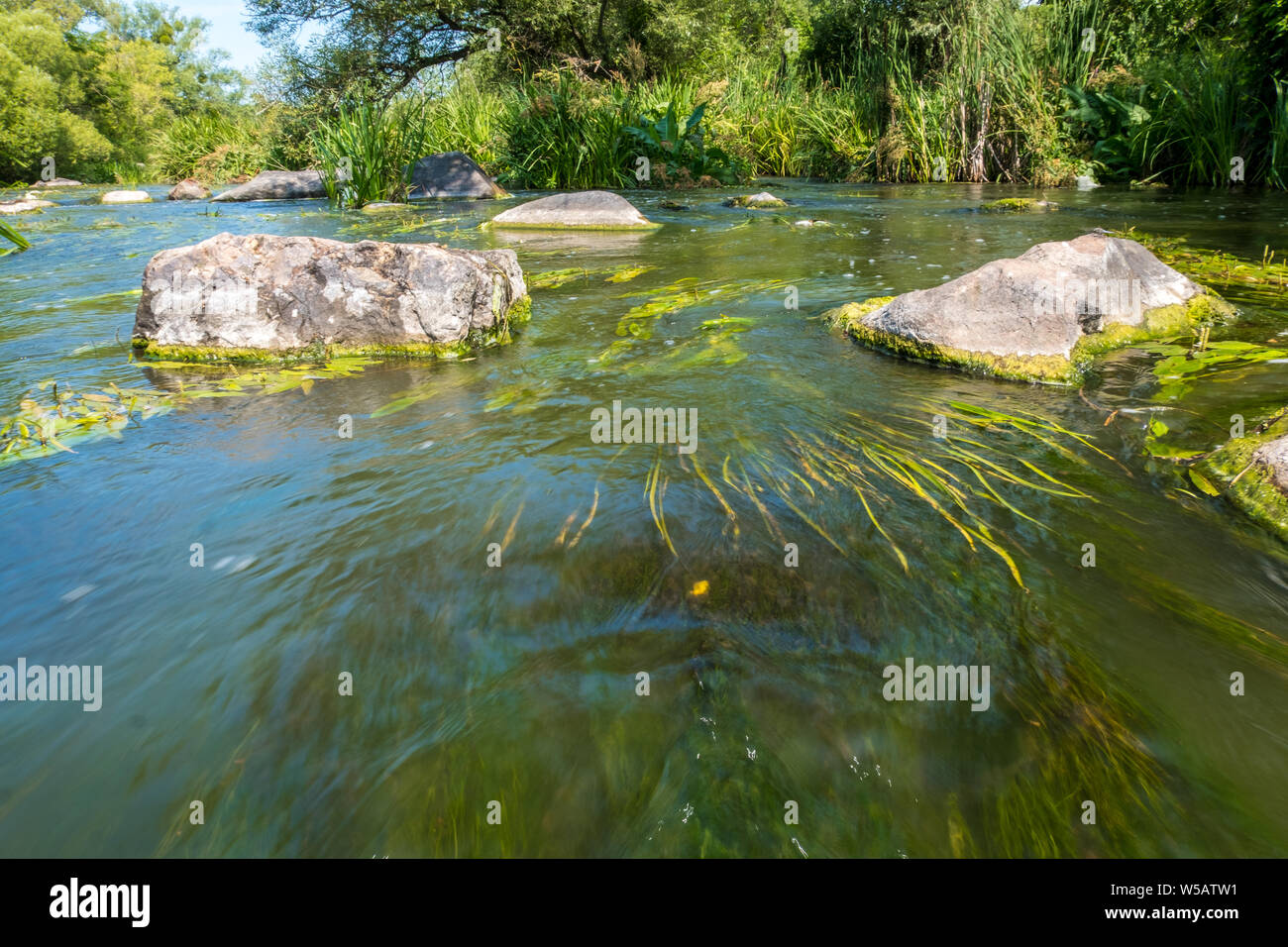 Eine kleine Schnelle in der Mitte des Flusses Tikich mit Stein Felsbrocken. Buky Canyon, Ukraine Stockfoto