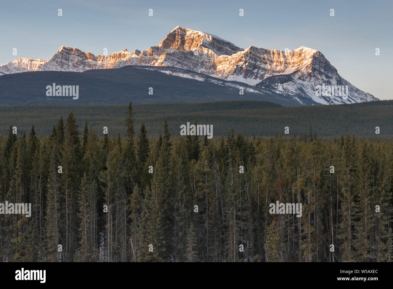 Morgen am Storm Mountain im Banff National Park, Alberta, Kanada Stockfoto