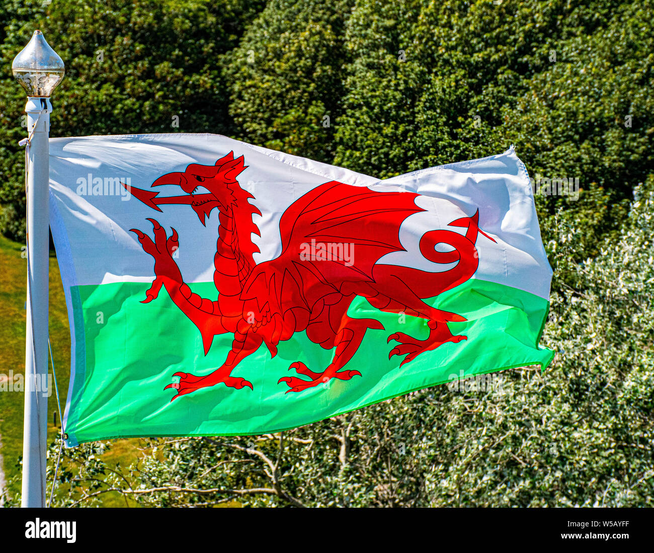 Walisische Flagge im Fenster einen Pol Stockfoto