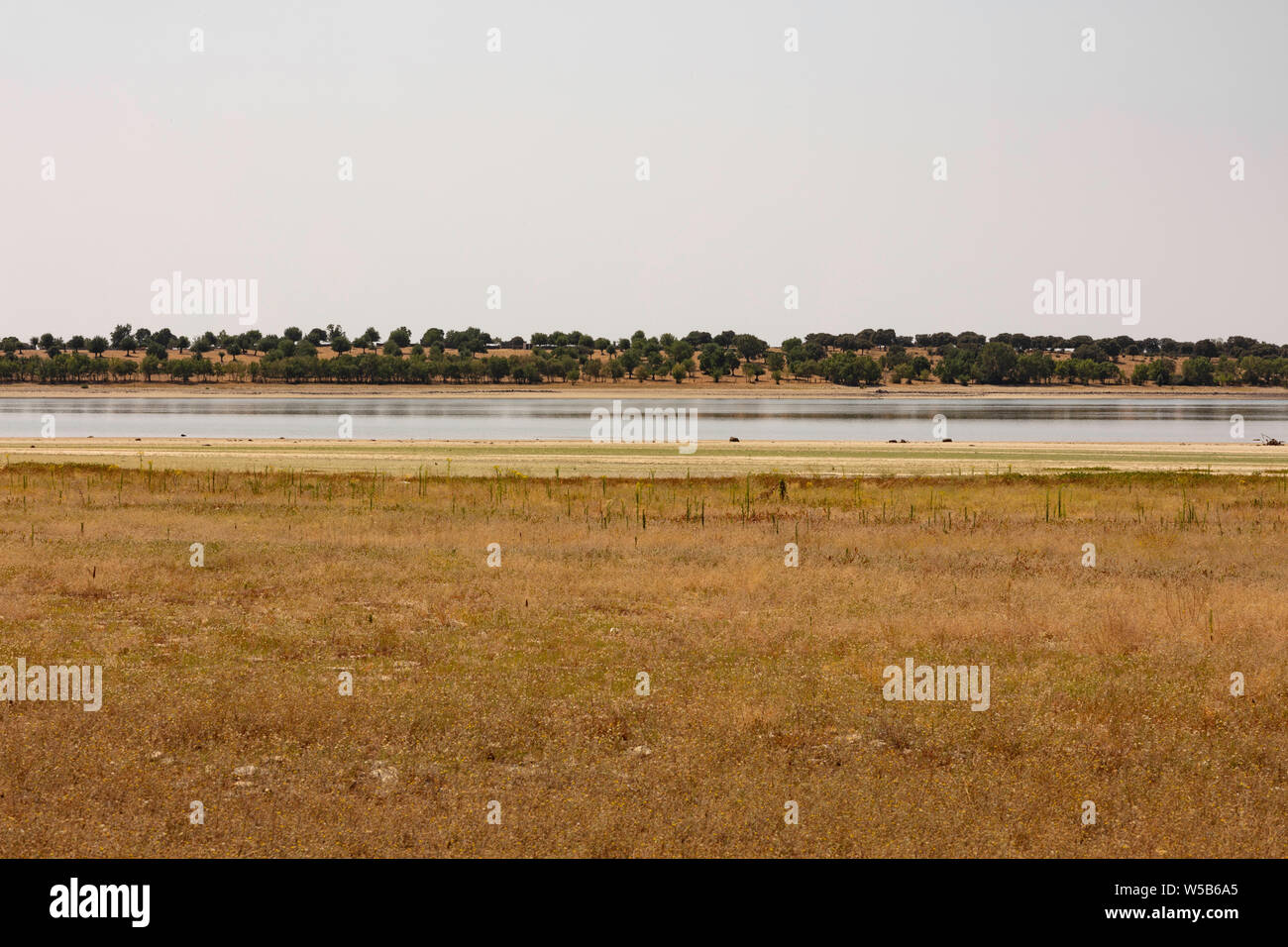 Trockene und sonnige Landschaft mit den Manzanares und dem Wald im Hintergrund Stockfoto