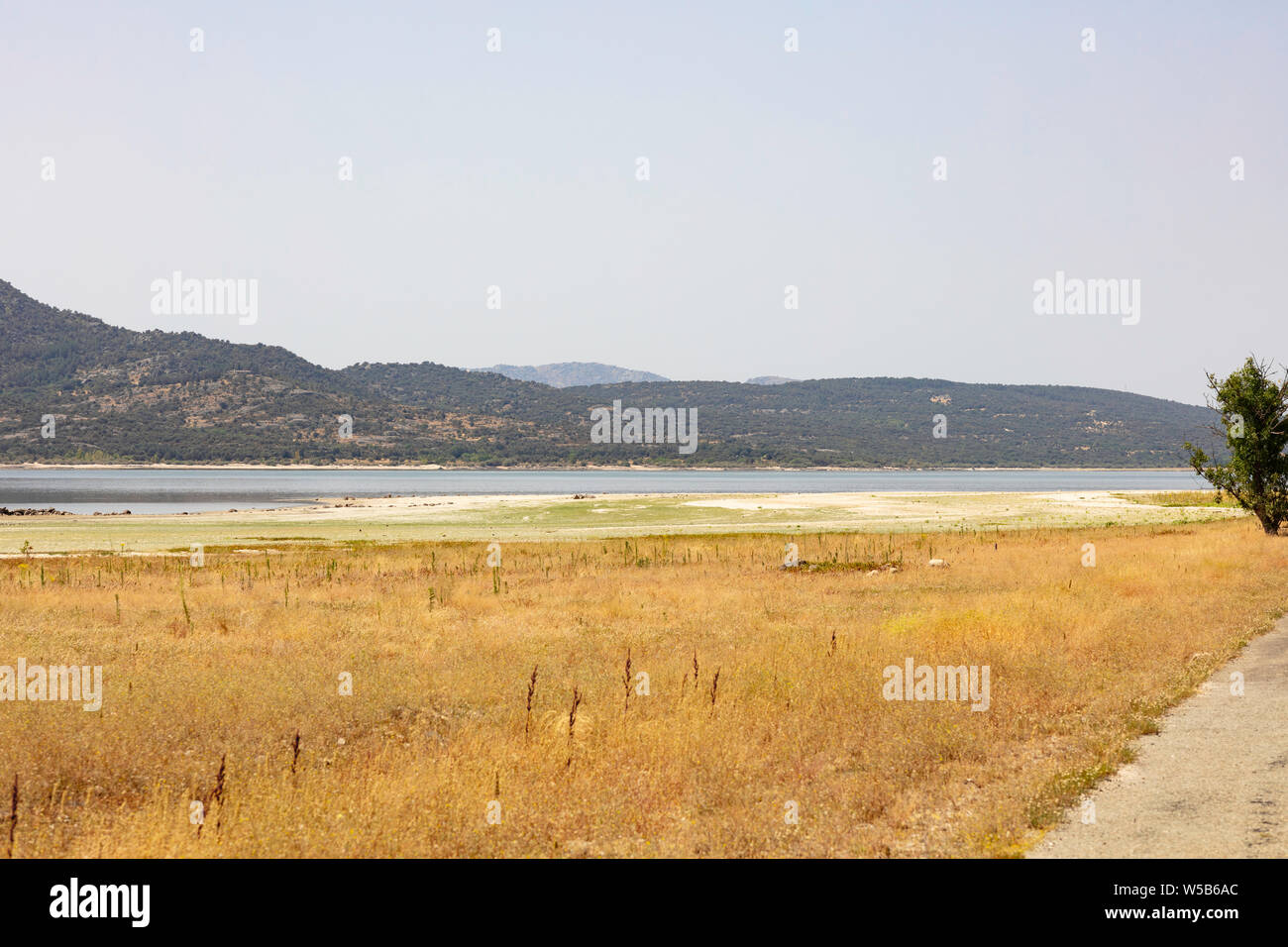 Trockene und sonnige Landschaft mit den Manzanares und dem Wald im Hintergrund Stockfoto