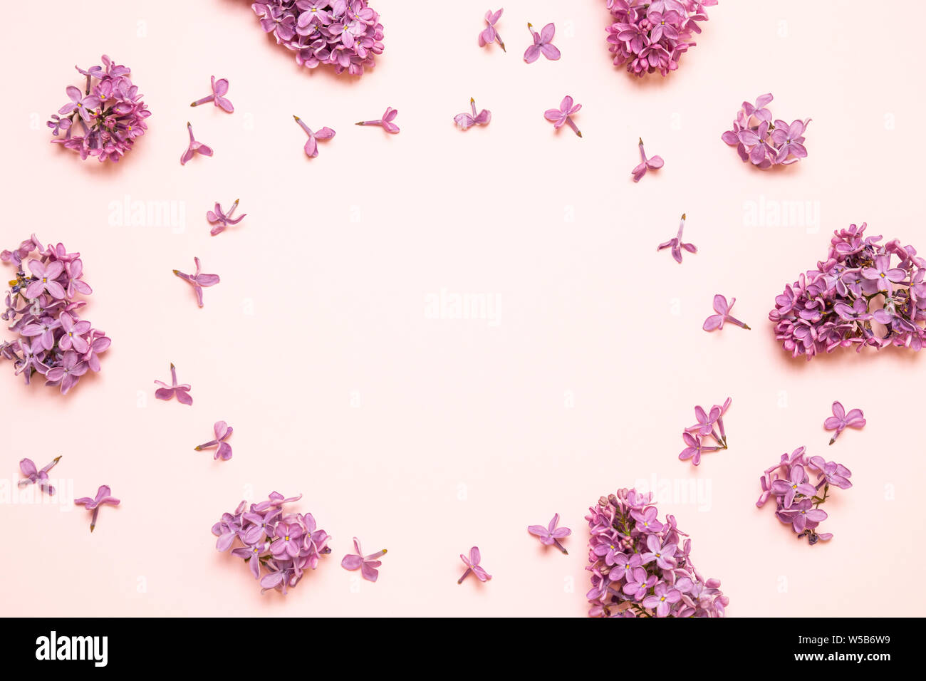 Rahmen mit lila Blumen, Zweige, Blätter und Blüten Flach, Ansicht von oben Stockfoto