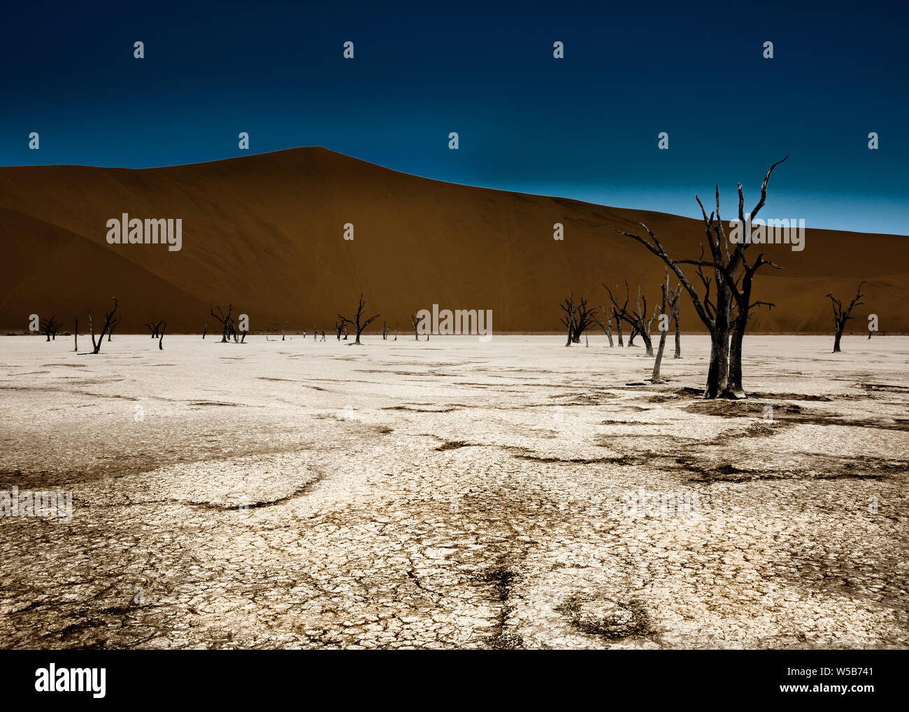 Dead Vlei künstlerische Kompositionen Stockfoto