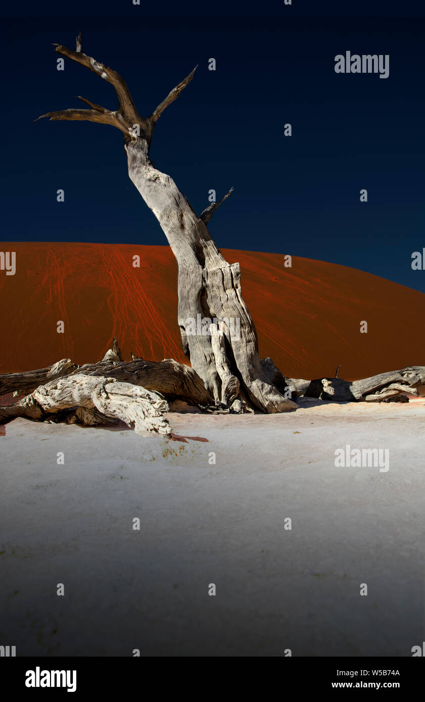 Dead Vlei künstlerische Kompositionen Stockfoto