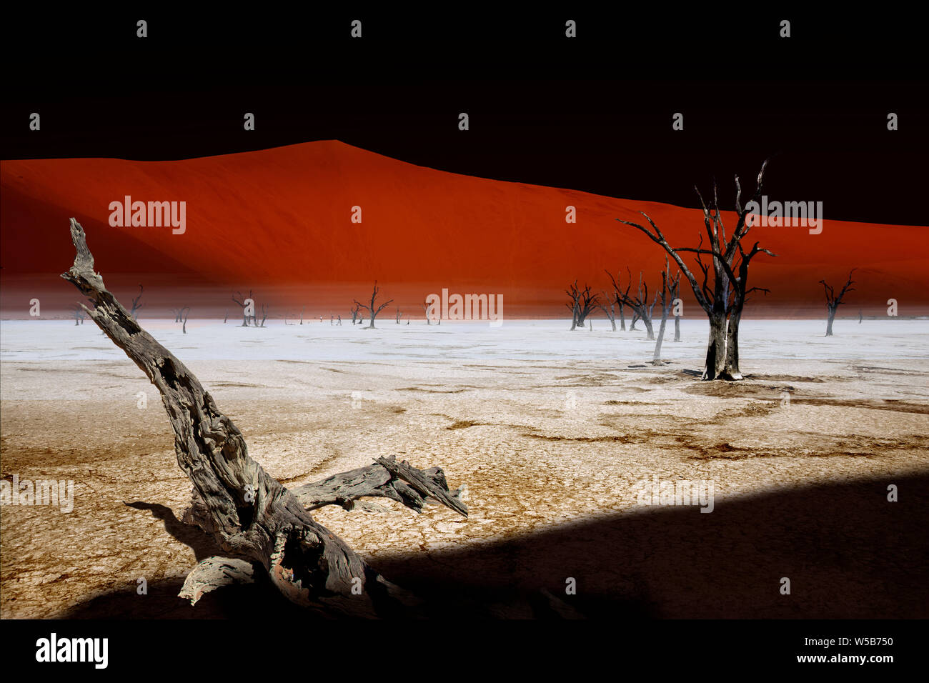 Dead Vlei künstlerische Kompositionen Stockfoto