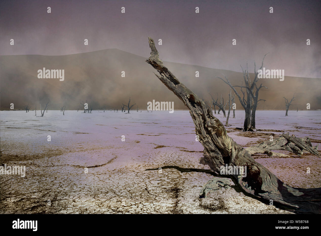 Dead Vlei künstlerische Kompositionen Stockfoto