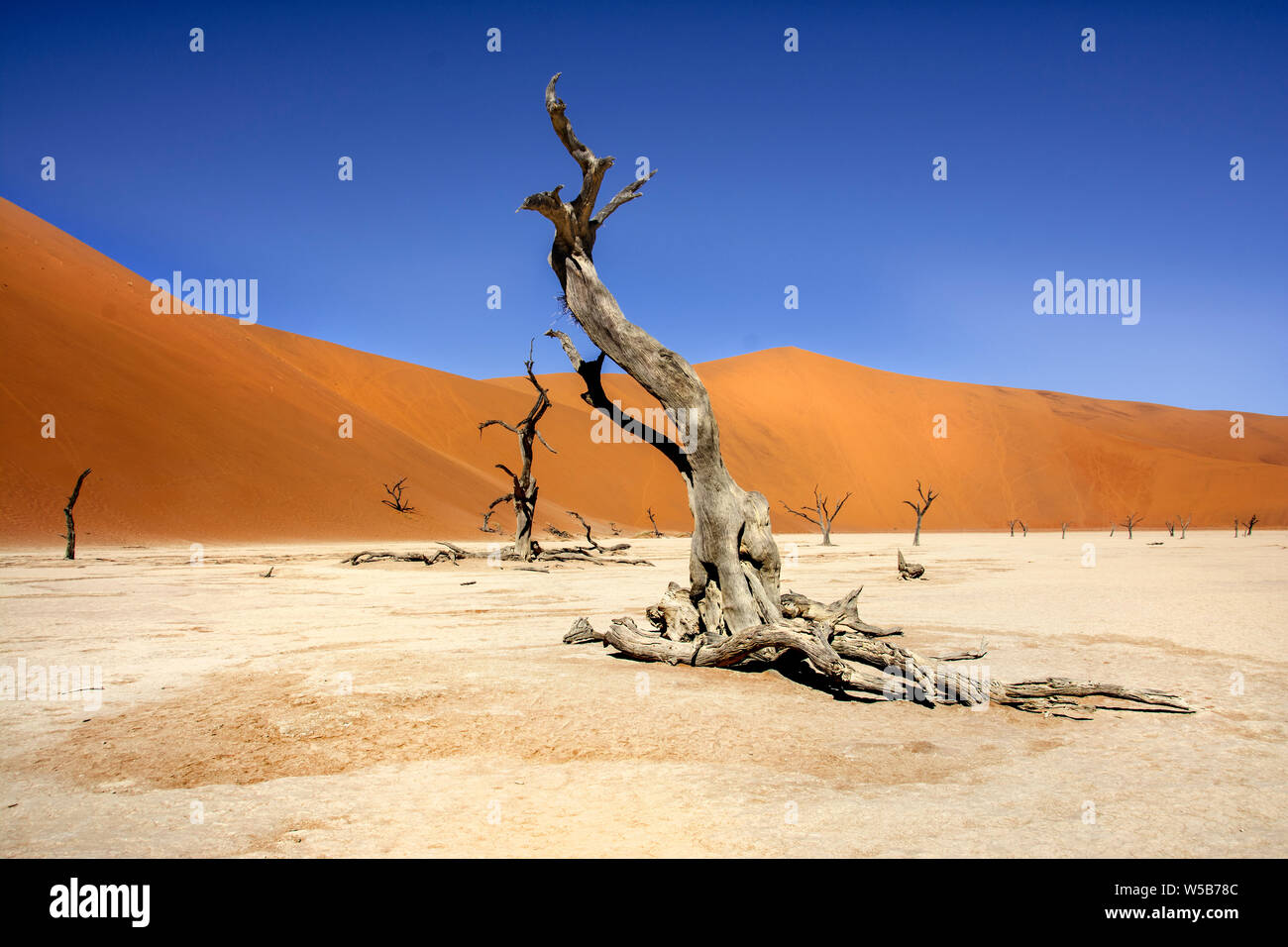 Dead Vlei künstlerische Kompositionen Stockfoto
