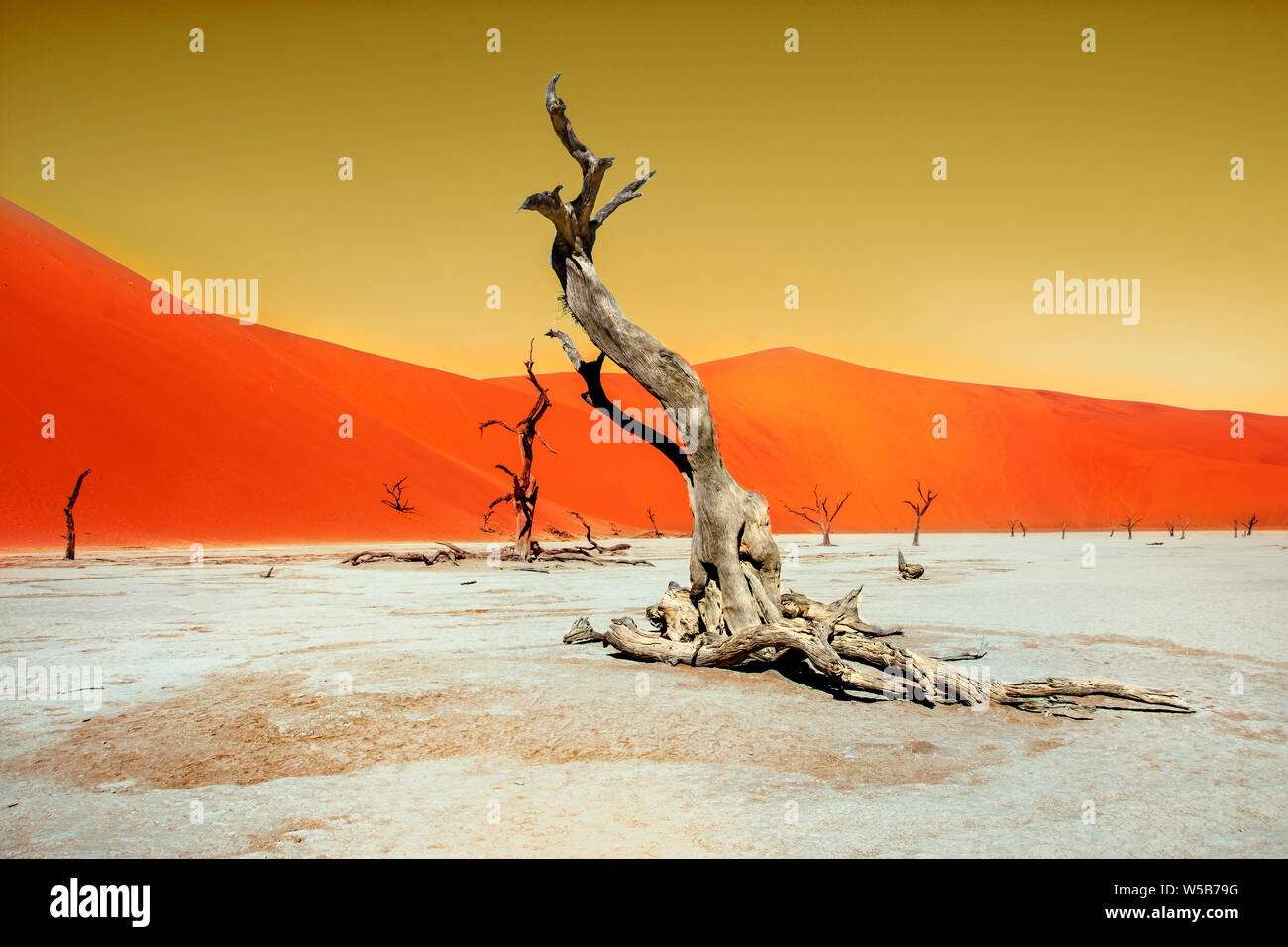 Dead Vlei künstlerische Kompositionen Stockfoto