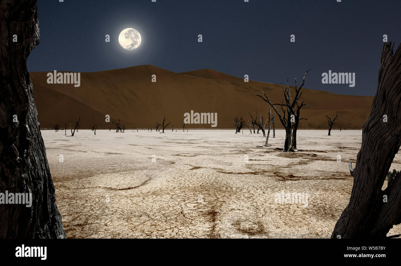 Dead Vlei künstlerische Kompositionen Stockfoto