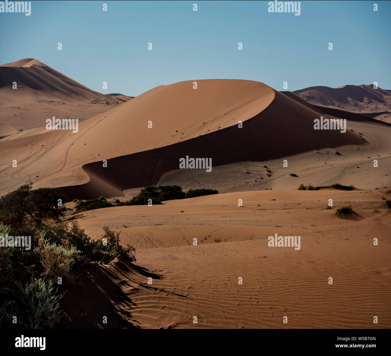 Die Namib Wüste Stockfoto