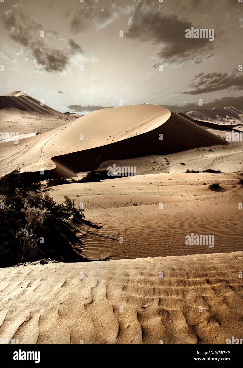 Die Namib Wüste Stockfoto