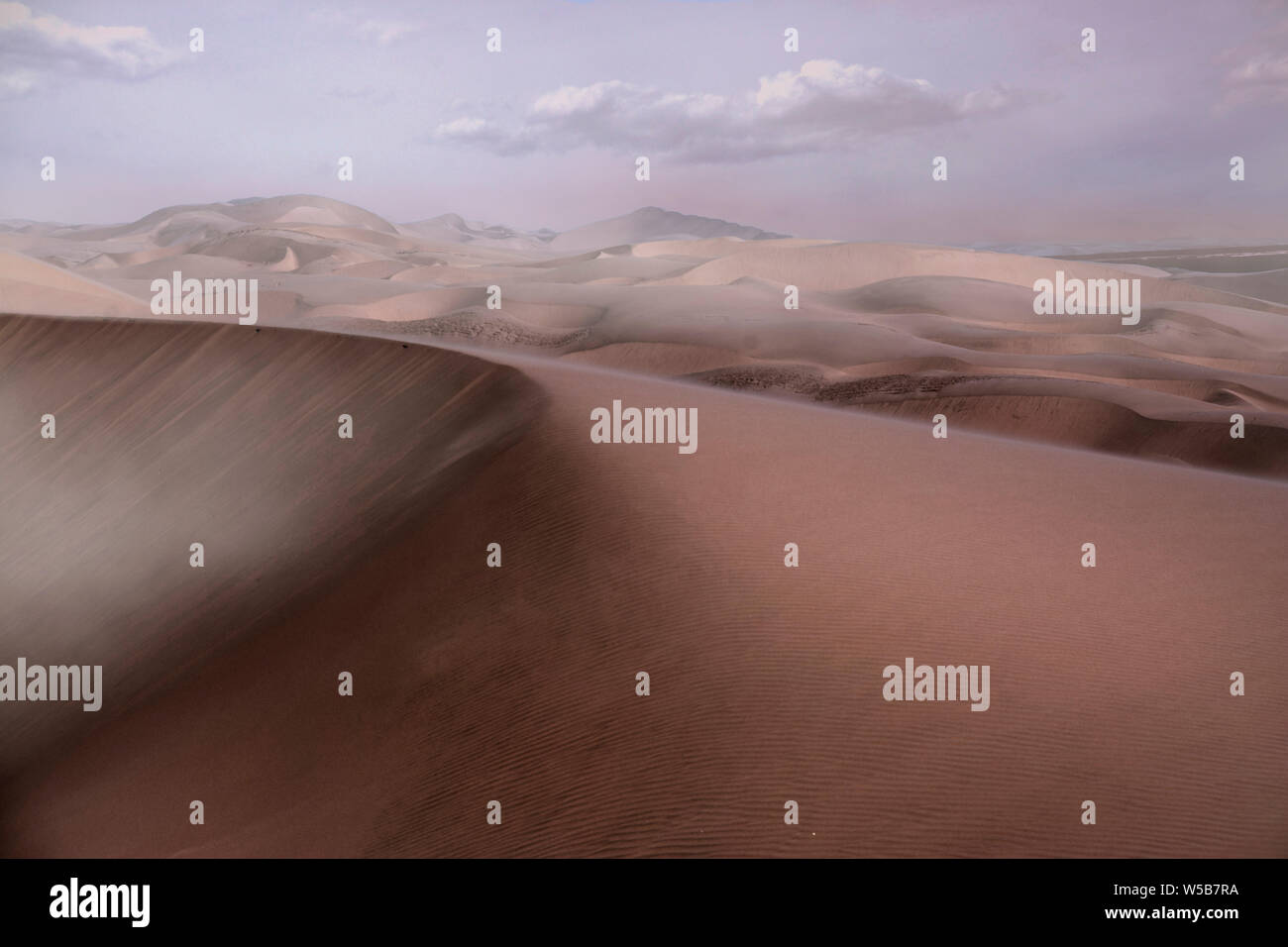 Die Namib Wüste Stockfoto