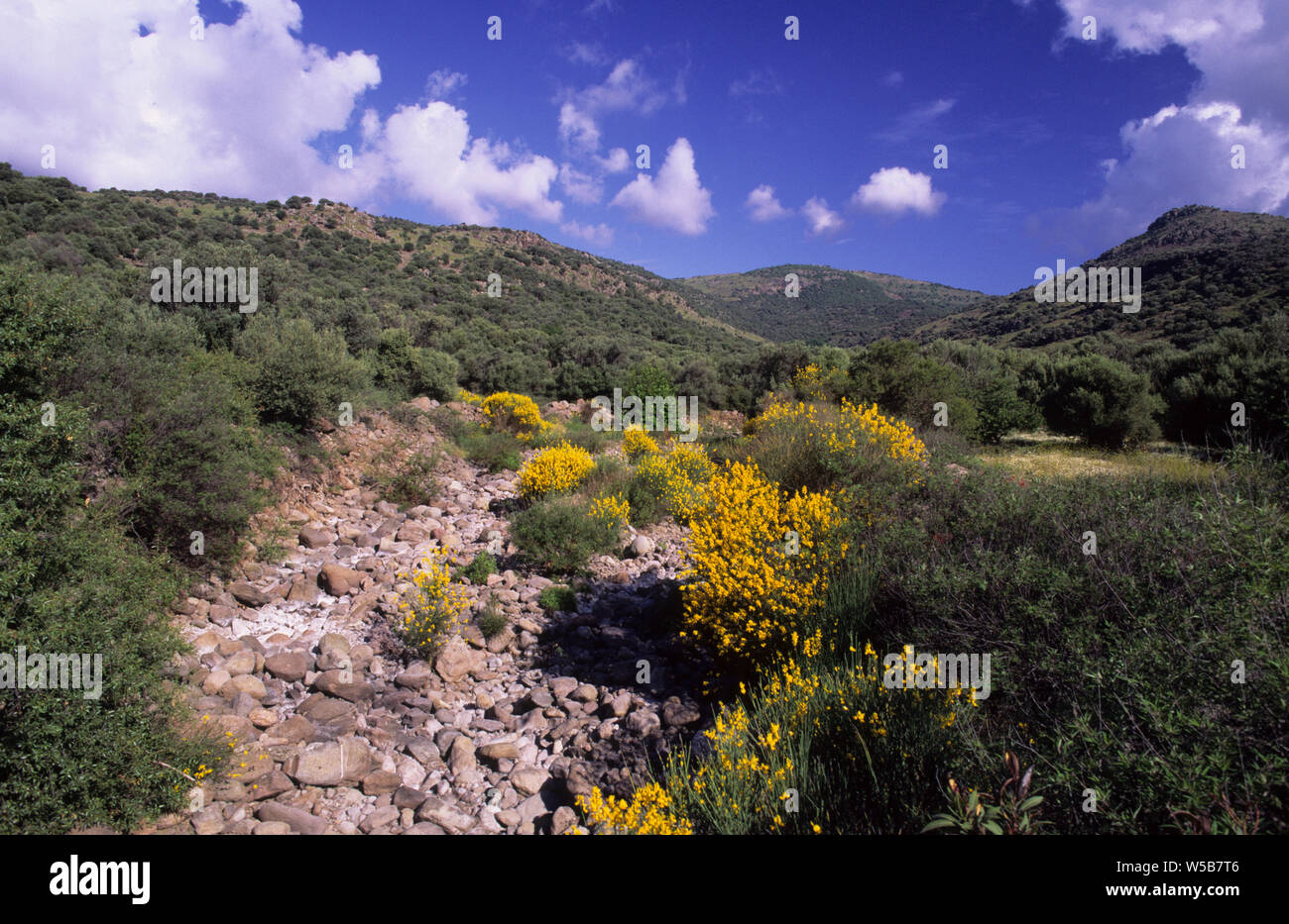 Malerische Aussicht in der Nähe von Parakila Lesbos Griechenland Stockfoto