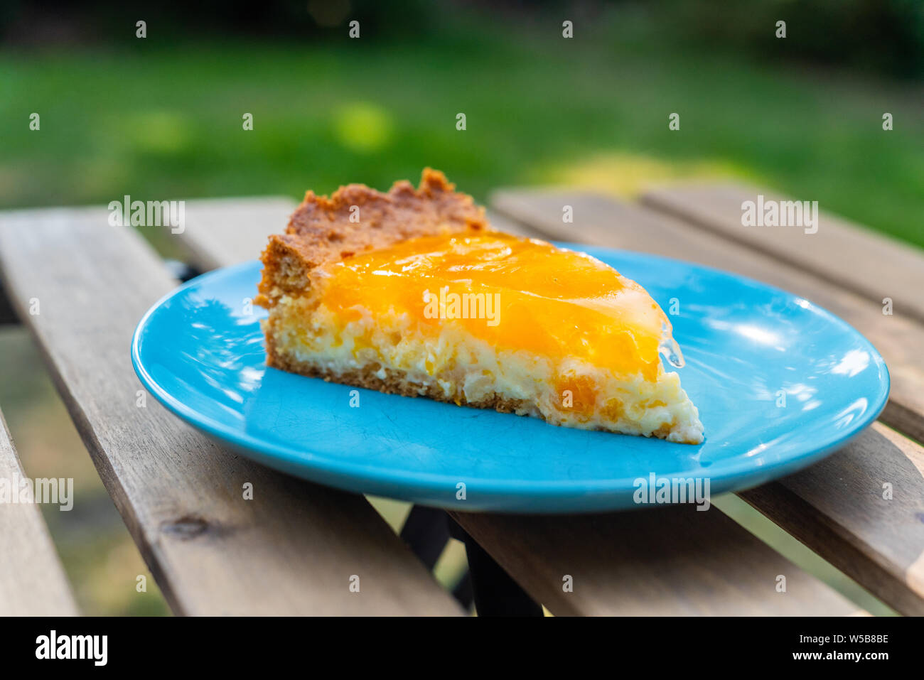 Eine hausgemachte saure Sahne Mandarinen Kuchen Stockfoto