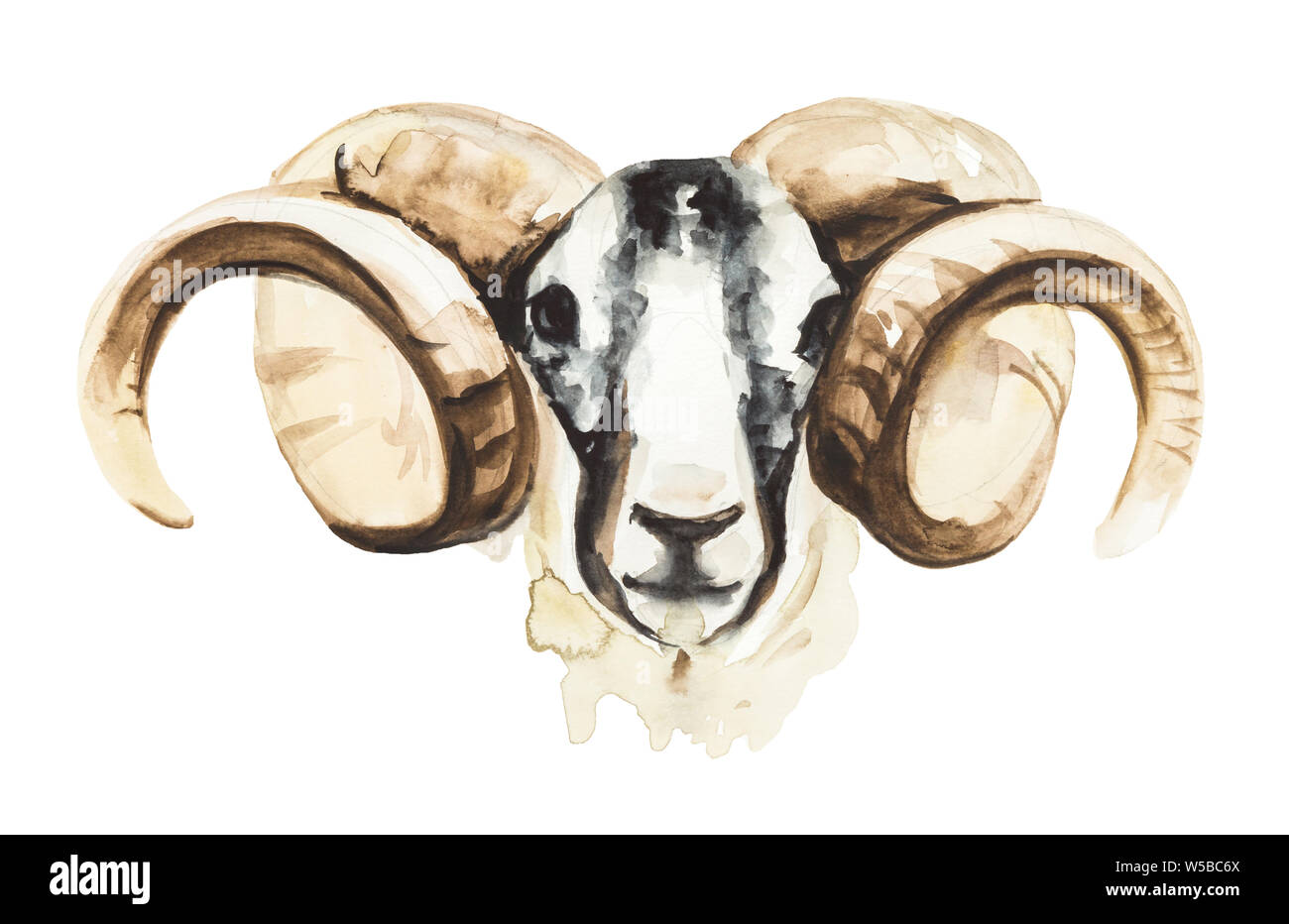 Watercolor Illustration eines Ram isoliert auf weißem Stockfoto