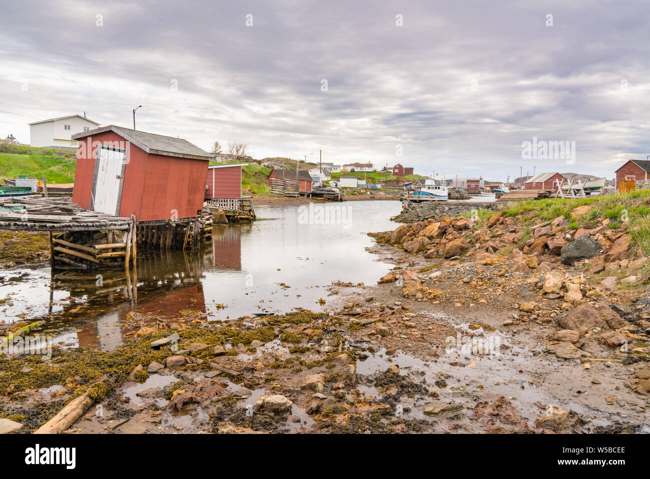 Boote und Schuppen im Hafen von Bauern Arm in der Nähe von Jenkins Cove, Neufundland, Kanada Stockfoto