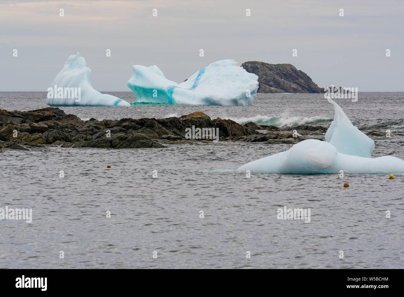 Eisberge in einer Bucht an der Küste von Neufundland Stockfoto