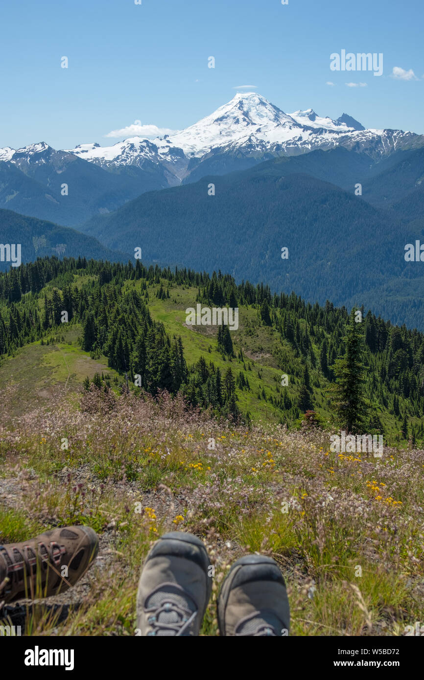 Blick über alpine Wiesen und bewaldeten Bergrücken von Divide Trail in Richtung schneebedeckten Mt Baker... der perfekte Ort für Wanderer, sich hinzusetzen und Stockfoto