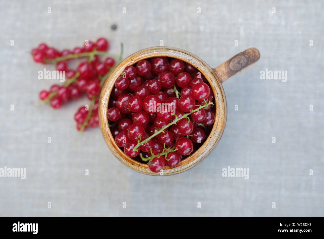 Rote Johannisbeere Beeren in kleine Schale auf dem Tisch in weiches Licht. Stockfoto